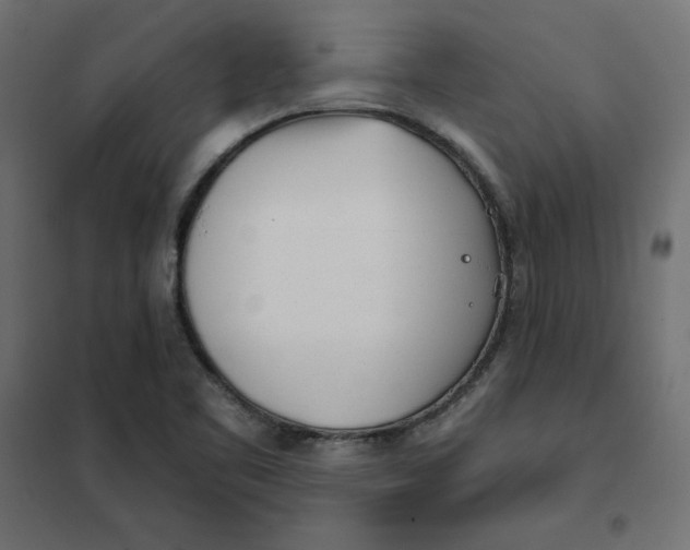 X0000102021461200808081737