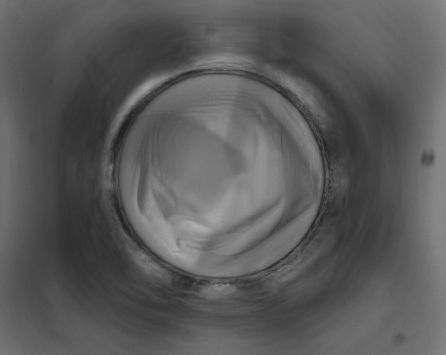 X0000102021462200808081737