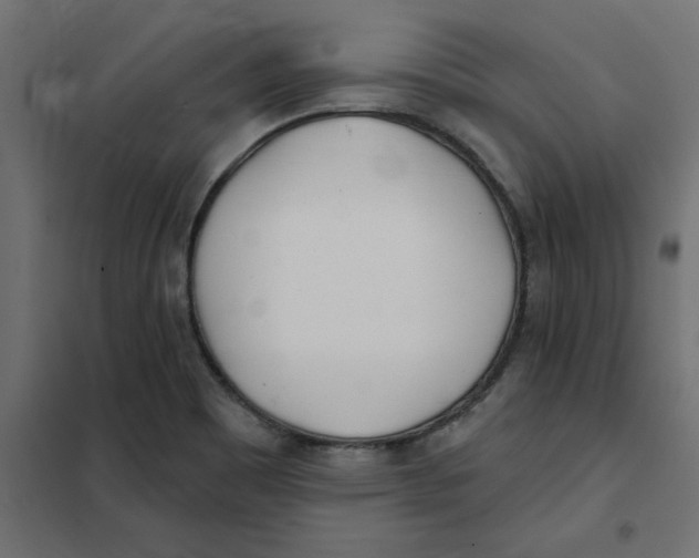 X0000102021465200808081737