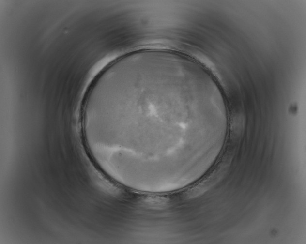 X0000102021466200808081737