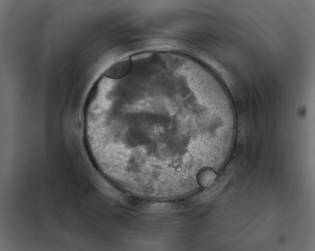 X0000102021467200808081737