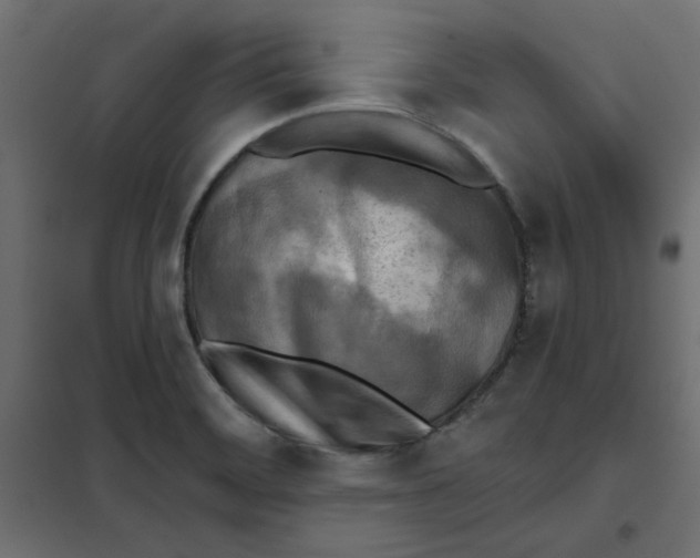X0000102021468200808081737