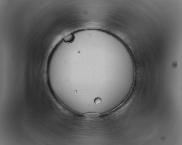 X0000102021469200808081737
