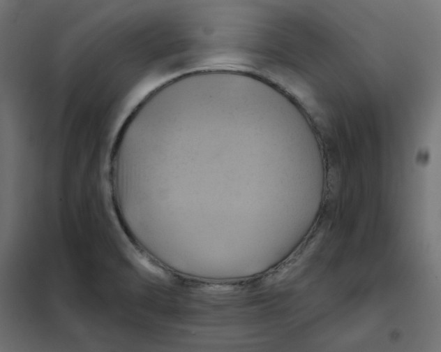 X0000102021470200808081737
