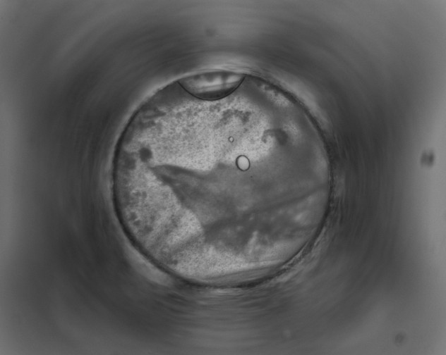 X0000102021471200808081737
