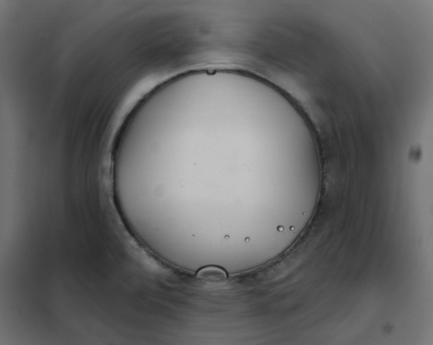 X0000102021472200808081736
