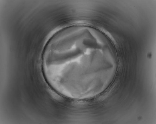 X0000102021474200808081736