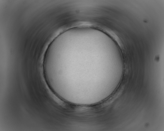 X0000102021475200808081736