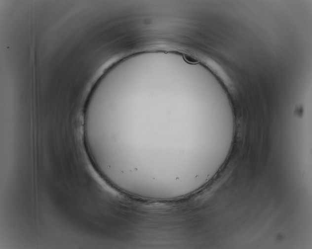 X0000102021476200808081736