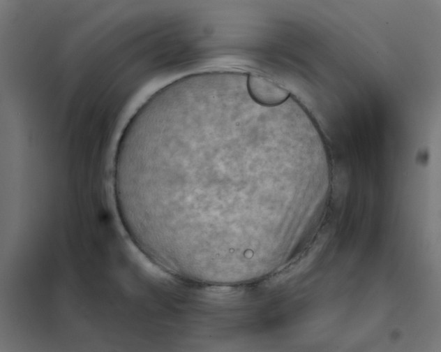 X0000102021478200808081736