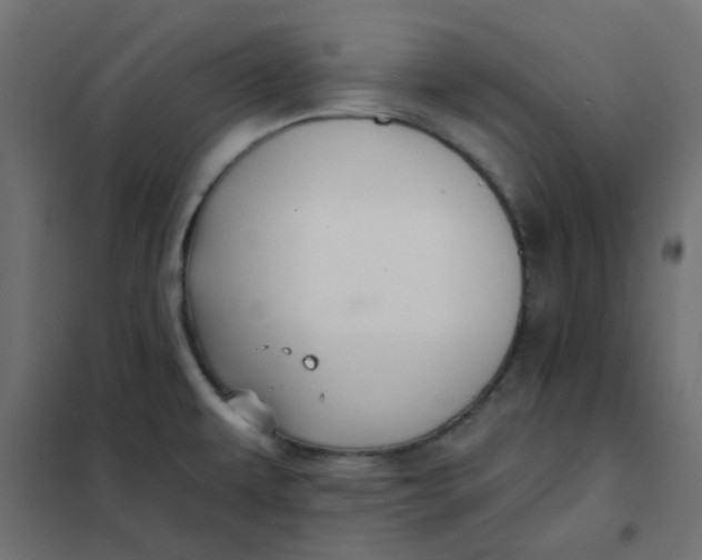 X0000102021479200808081736