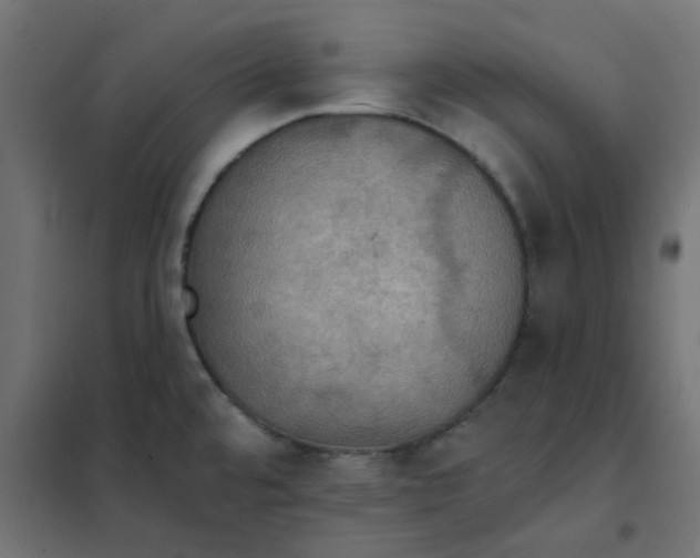X0000102021480200808081736
