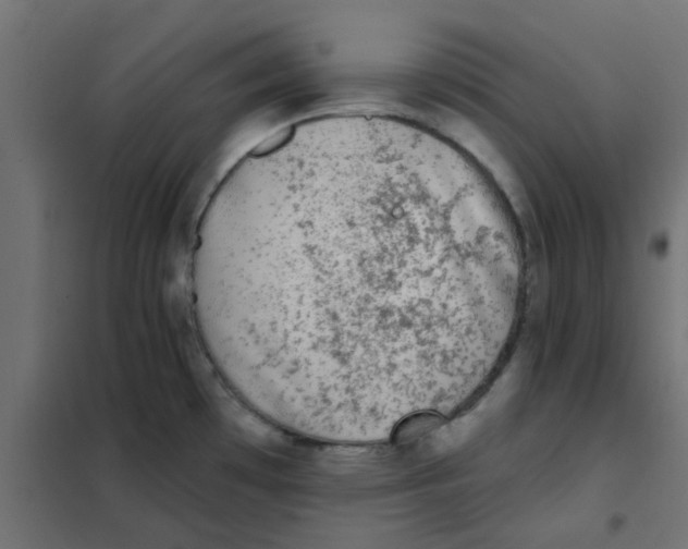 X0000102021481200808081736