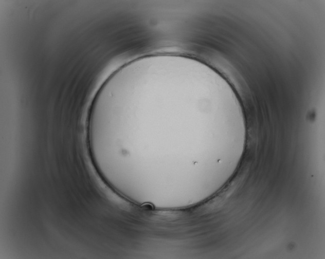 X0000102021483200808081736