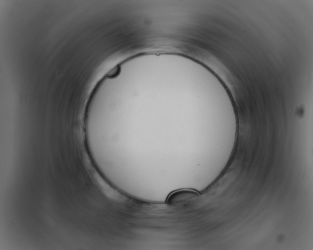 X0000102021485200808081736