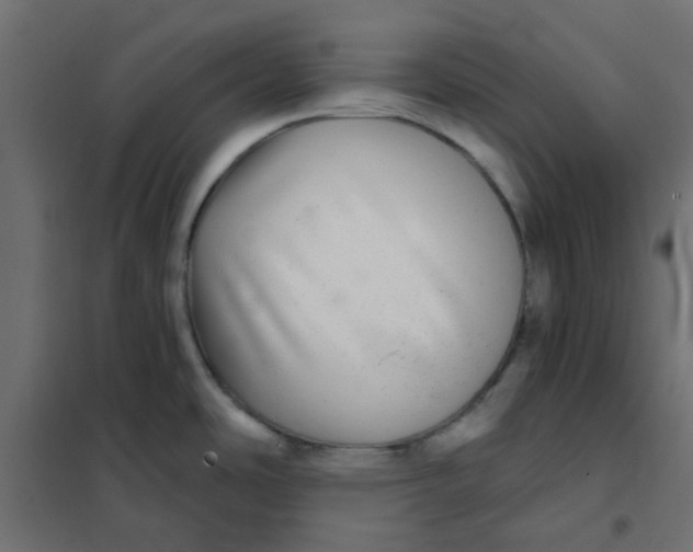 X0000102021486200808081736