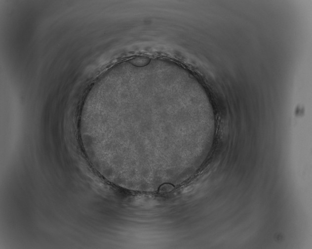 X0000102021489200808081735