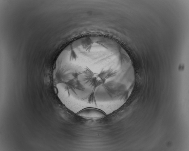 X0000102021490200808081735