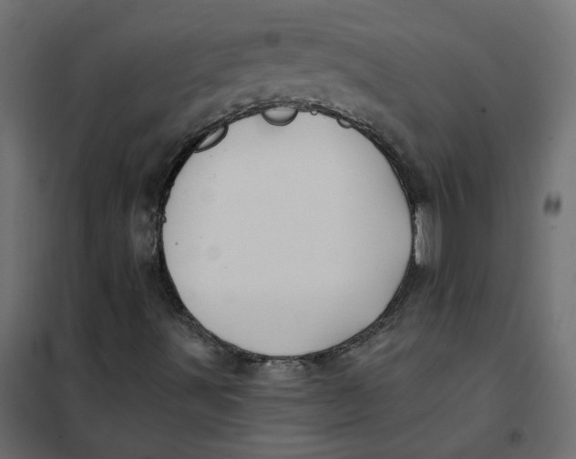 X0000102021491200808081735