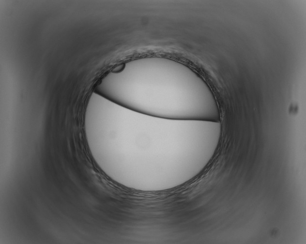 X0000102021492200808081735