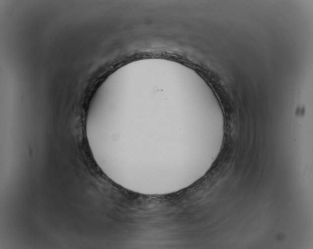 X0000102021493200808081735