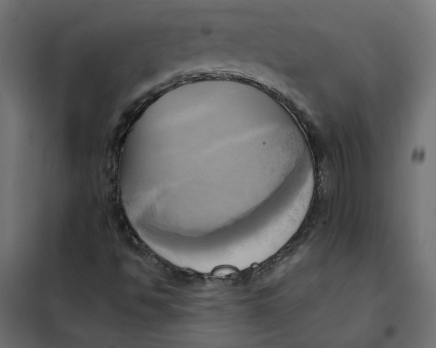 X0000102021494200808081735