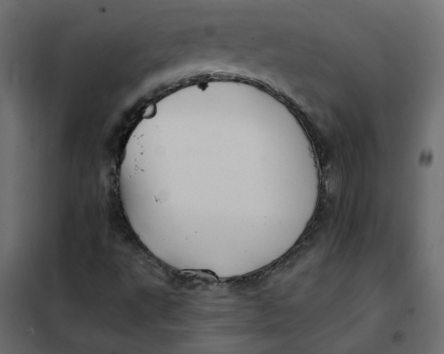 X0000102021495200808081735
