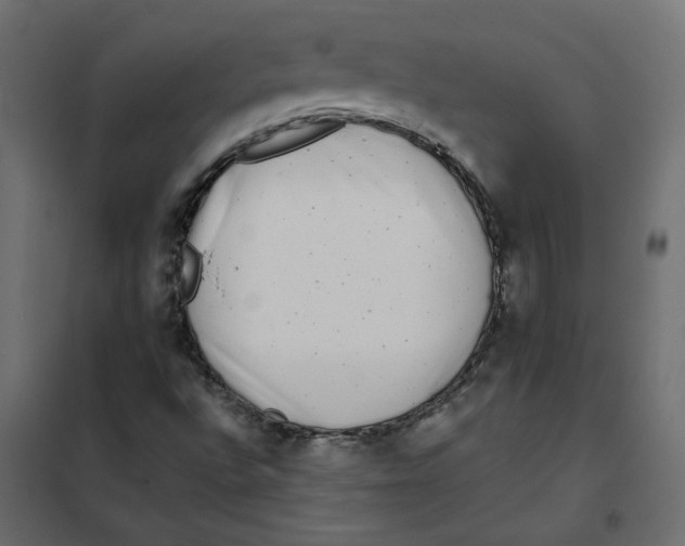X0000102021496200808081735