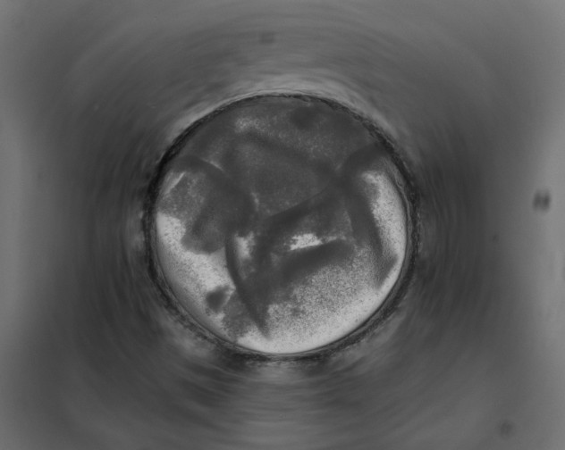 X0000102021497200808081735
