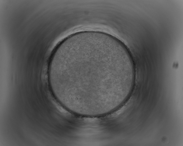 X0000102021498200808081736