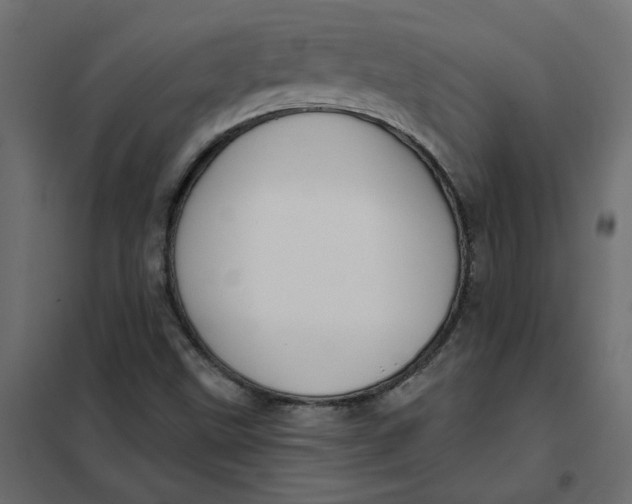 X0000102021499200808081736