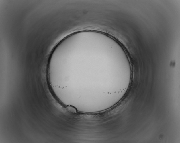 X0000102021500200808081736