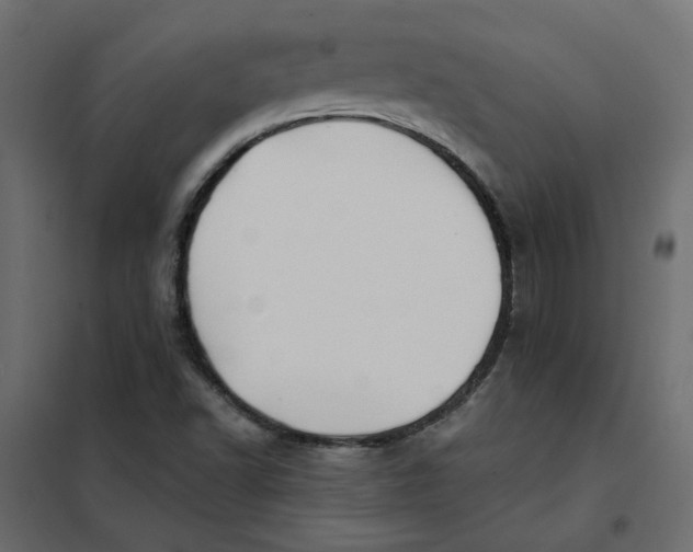 X0000102021502200808081736