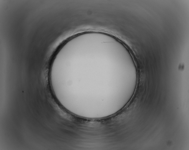 X0000102021503200808081736