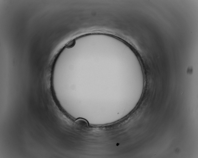 X0000102021504200808081736
