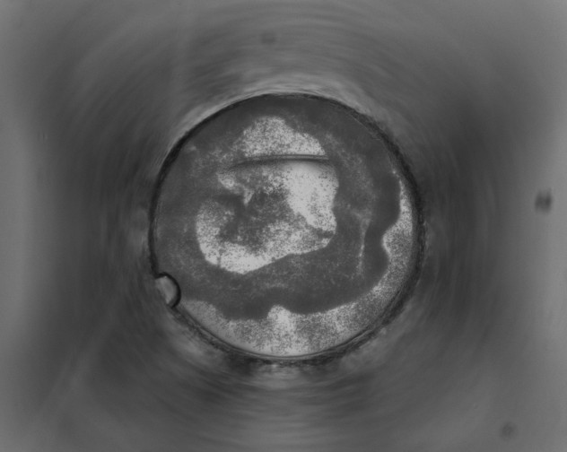 X0000102021505200808081736