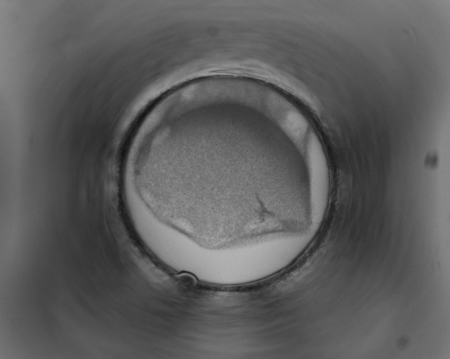 X0000102021506200808081736