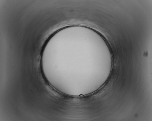 X0000102021507200808081736