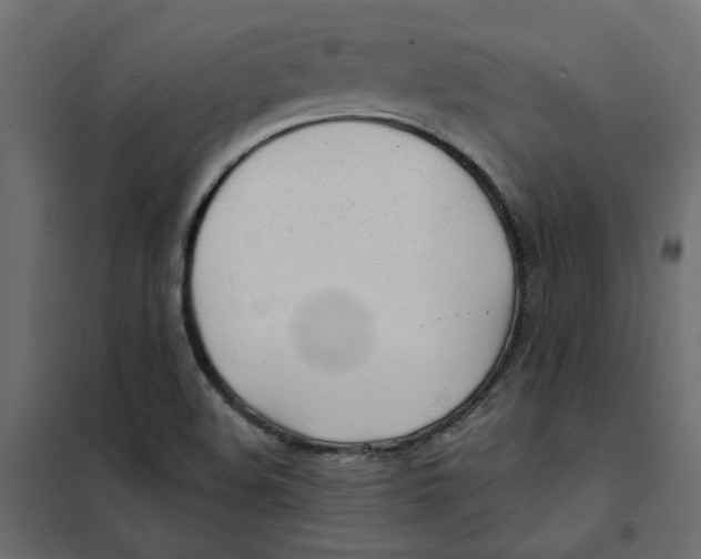 X0000102021508200808081736