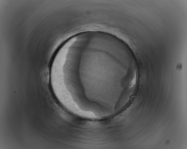 X0000102021509200808081736