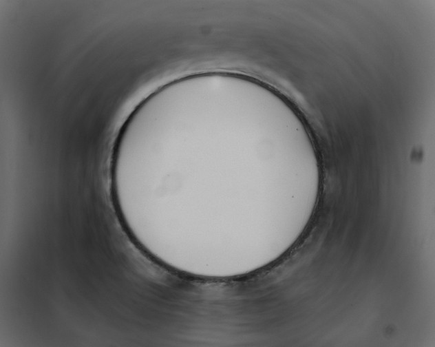 X0000102021512200808081736