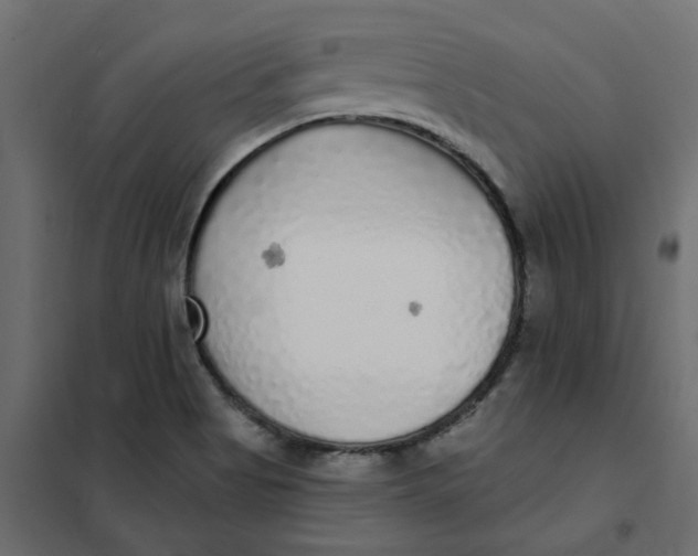 X0000102021513200808081736