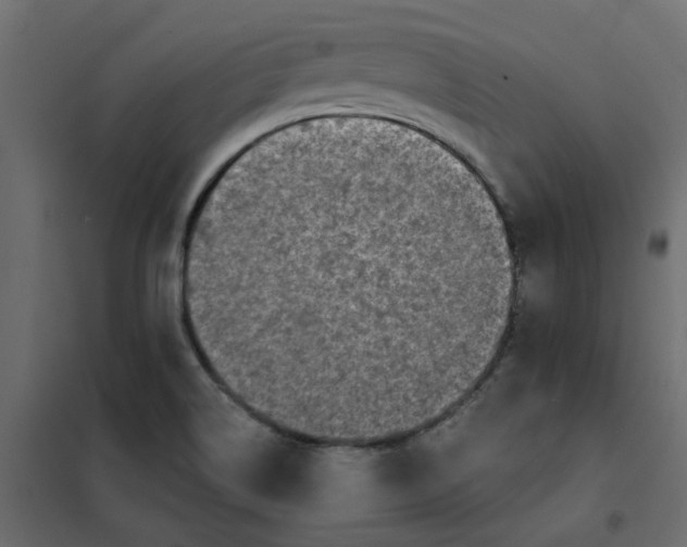 X0000102021514200808081736