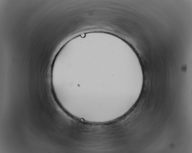 X0000102021516200808081736