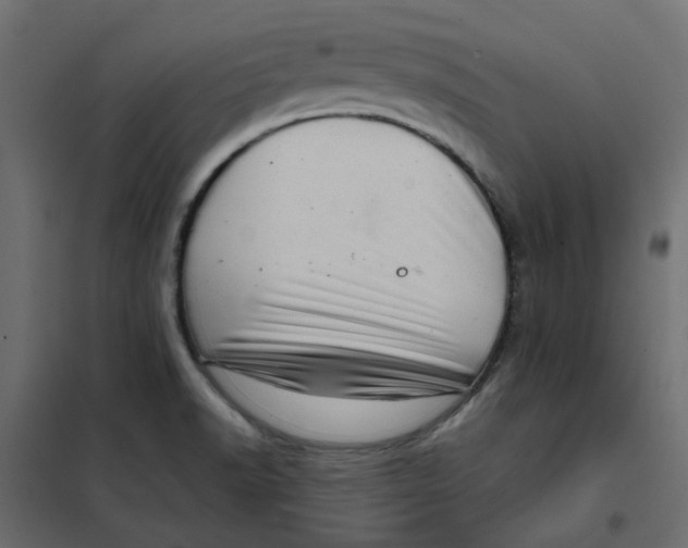 X0000102021518200808081736