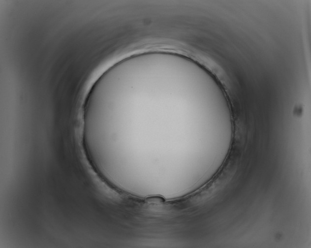 X0000102021520200808081736