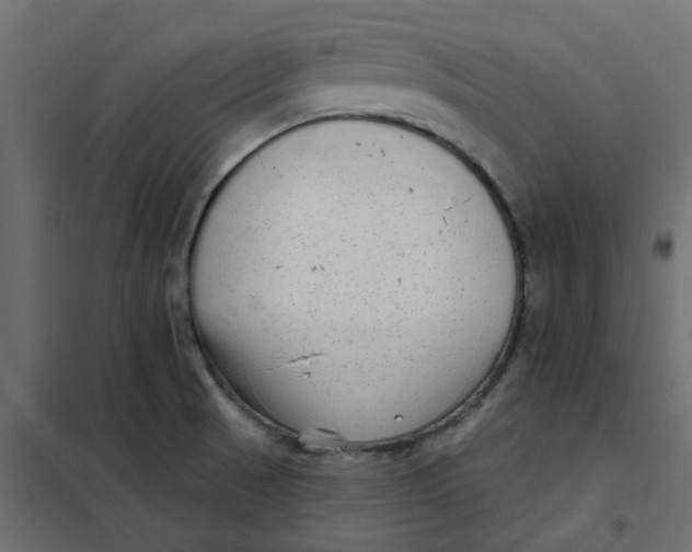 X0000102021521200808081736