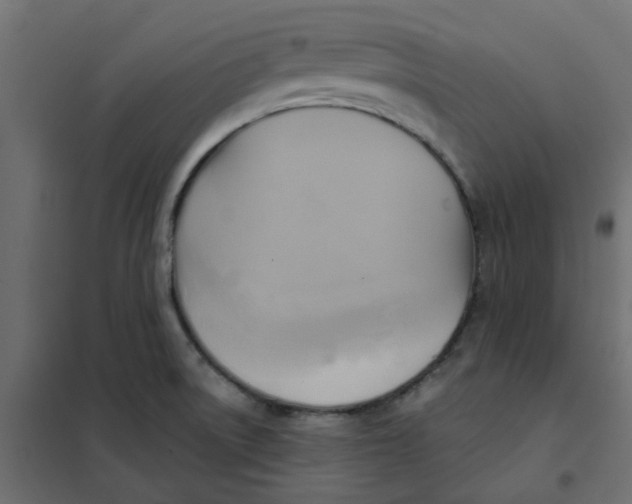 X0000102021522200808081736