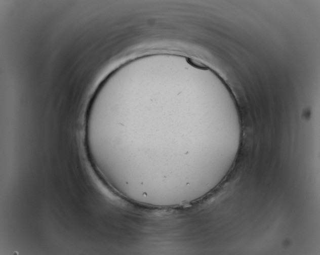 X0000102021523200808081736