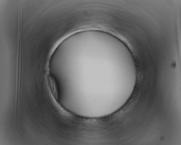 X0000102021524200808081736